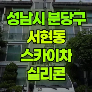 경기 성남시 스카이차 실리콘 일대 후기