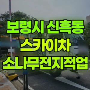 충남 보령시 스카이차 소나무전지적업 일대 비용