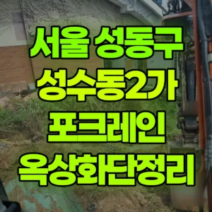 서울 성동구 미니035 포크레인(굴착기) 옥상화단정리 일대 후기