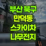 부산 북구 만덕동 스카이차 나무전지 현장 사진