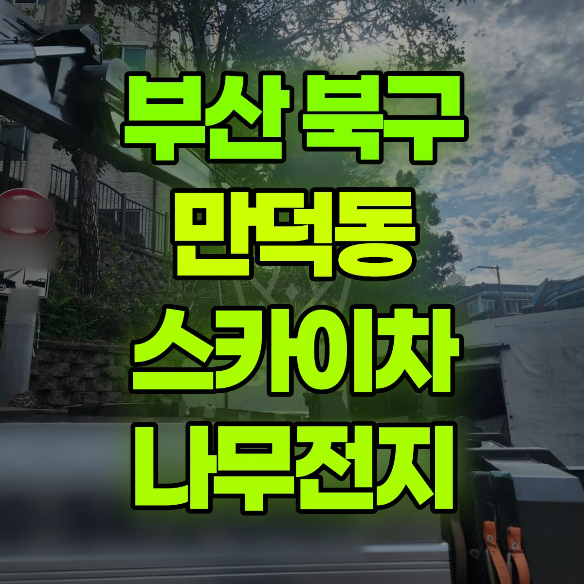 부산 북구 만덕동 스카이차 나무전지 비용