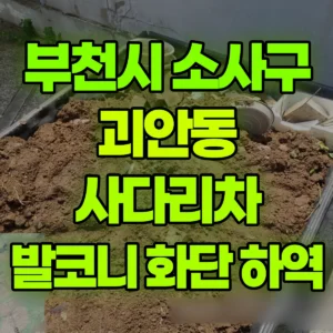 경기 부천시 1톤 사다리차 발코니 화단 읅 하역  1시간 후기