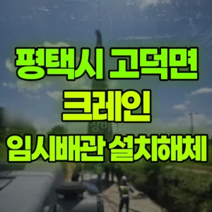 경기 평택시 50톤 맹꽁이 크레인 임시배관설치 및 해체작업 일대 비용