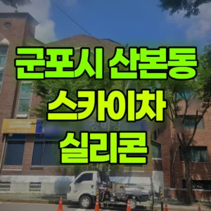경기 군포시 스카이차 실리콘  일대 비용
