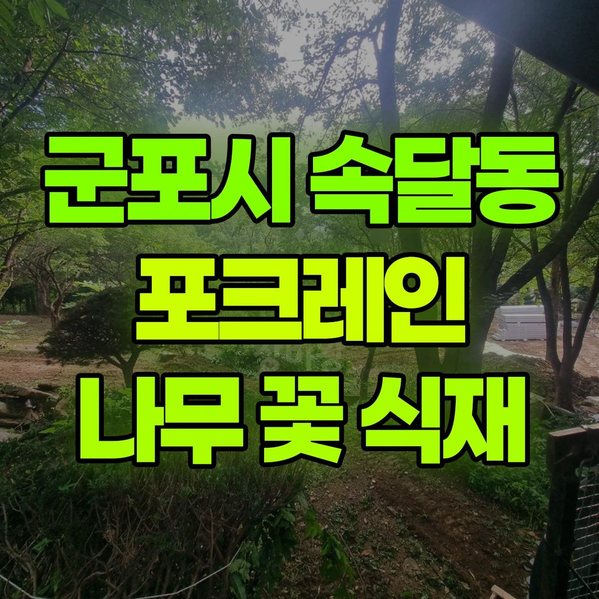 군포시 속달동 포크레인 나무 꽃 식재 비용