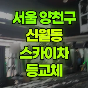 서울 양천구 스카이차 등교체 일대 후기