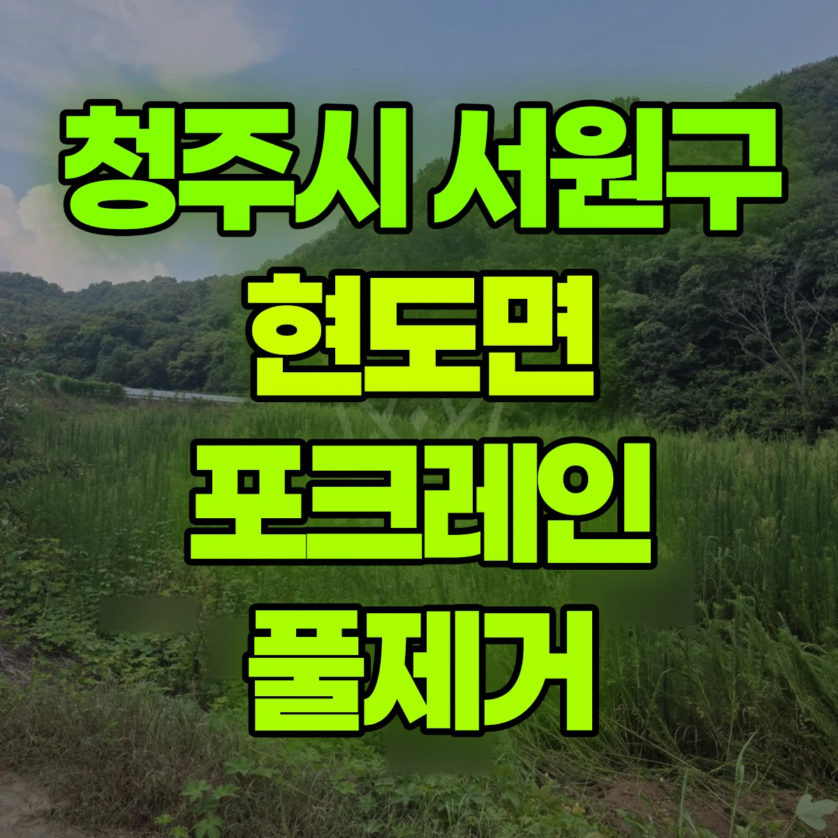 청주시 서원구 현도면 포크레인 풀제거 비용