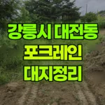강원 강릉시 대전동 포크레인 대지정리 현장 사진