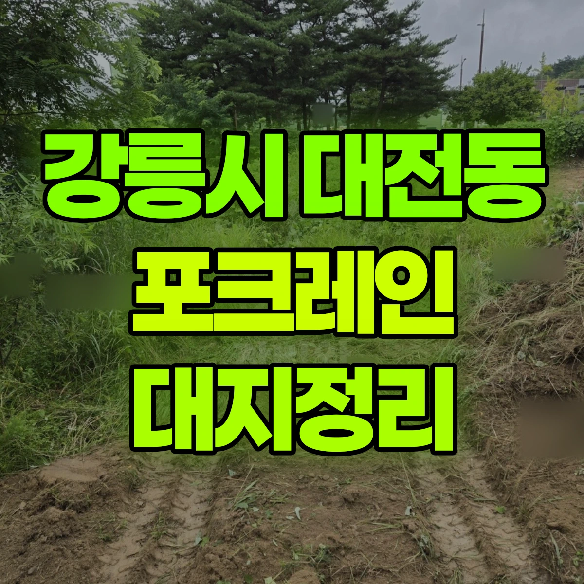 강릉시 대전동 포크레인 대지정리 비용