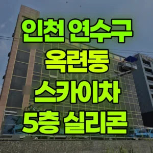 인천 연수구 스카이차 5층 실리콘  반나절 비용