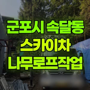경기 군포시 스카이차 나무로프작업 반나절 후기