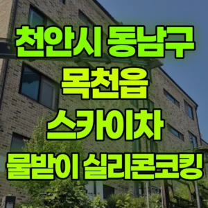 충남 천안시 스카이차 물받이교체/ 실리콘코킹 반나절 후기