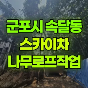 경기 군포시 스카이차 나무로프작업 반나절 비용