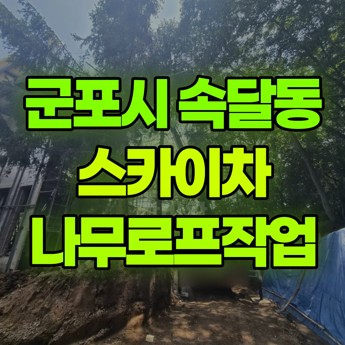 군포시 속달동 스카이차 나무로프작업 비용