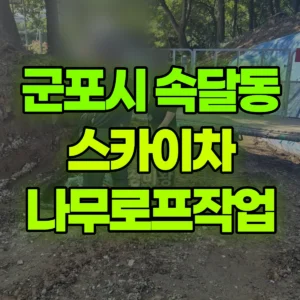 경기 군포시 스카이차 나무로프작업 2시간 후기