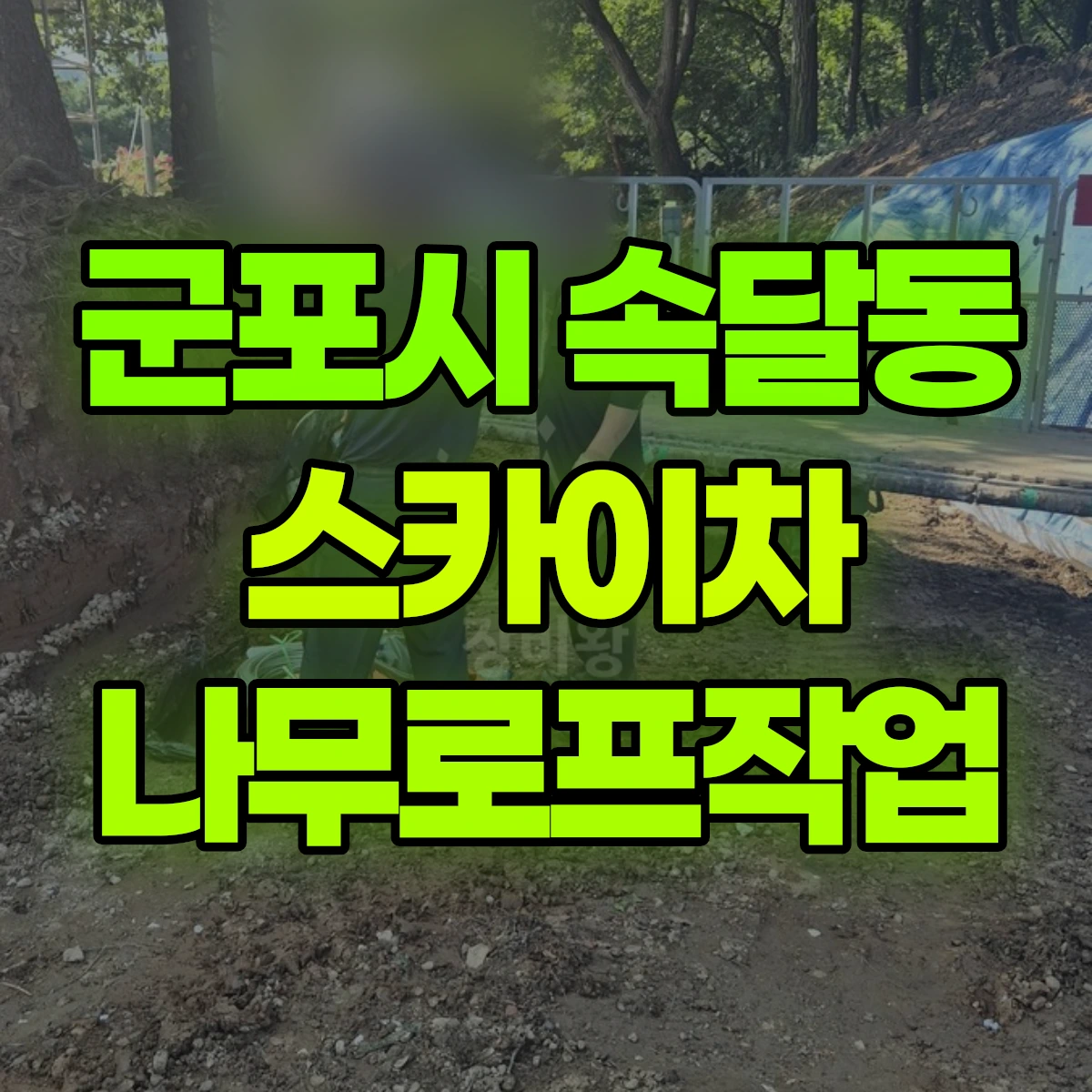 군포시 속달동 스카이차 나무로프작업 비용