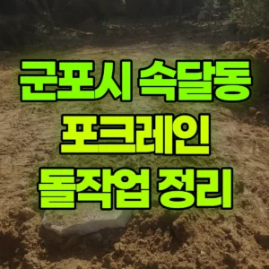 경기 군포시 03궤도(LC) 포크레인(굴착기) 돌작업/주변정리 일대 후기
