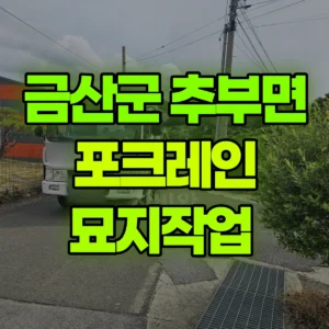 충남 금산군 02궤도(LC) 포크레인(굴착기) 묘지작업  반나절 비용