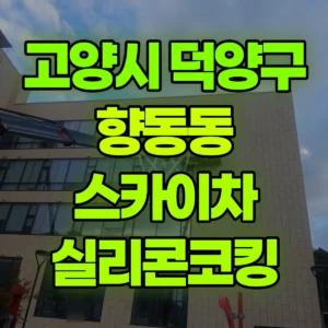 경기 고양시 스카이차 실리콘코킹 일대 비용