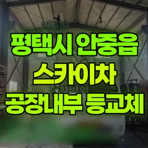 경기 평택시 스카이차 공장내부 등교체 2시간 후기