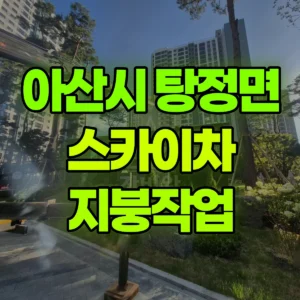 충남 아산시 스카이차 지붕작업 일대 비용