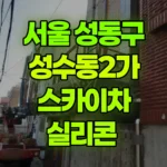서울 성동구 성수동2가 스카이차 실리콘 현장 사진