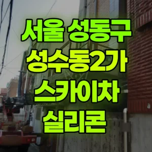 서울 성동구 스카이차 실리콘  반나절 후기