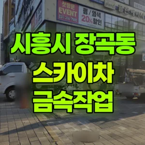 경기 시흥시 스카이차 금속작업 일대 후기