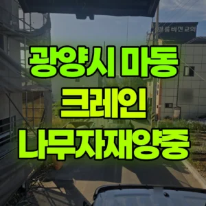 전남광주 광양시 5톤 카고크레인 나무자재양중 1시간 후기