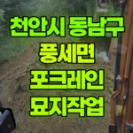 충남 천안시 동남구 풍세면 포크레인 묘지작업 현장 사진