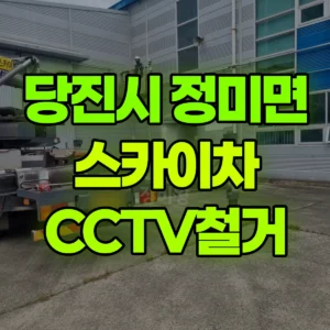 충남 당진시 스카이차 CCTV철거 1시간 후기
