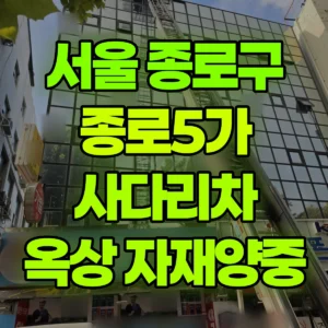 서울 종로구 1.2톤 사다리차 5층옥상 자재양중 1시간 후기