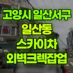 경기 고양시 일산서구 일산동 스카이차 외벽크렉잡업 현장 사진