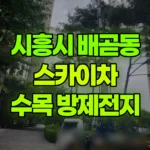 경기 시흥시 배곧동 스카이차 수목방제·전지작업 현장 사진