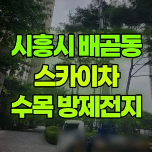 경기 시흥시 스카이차 수목방제.전지작업 반나절 후기