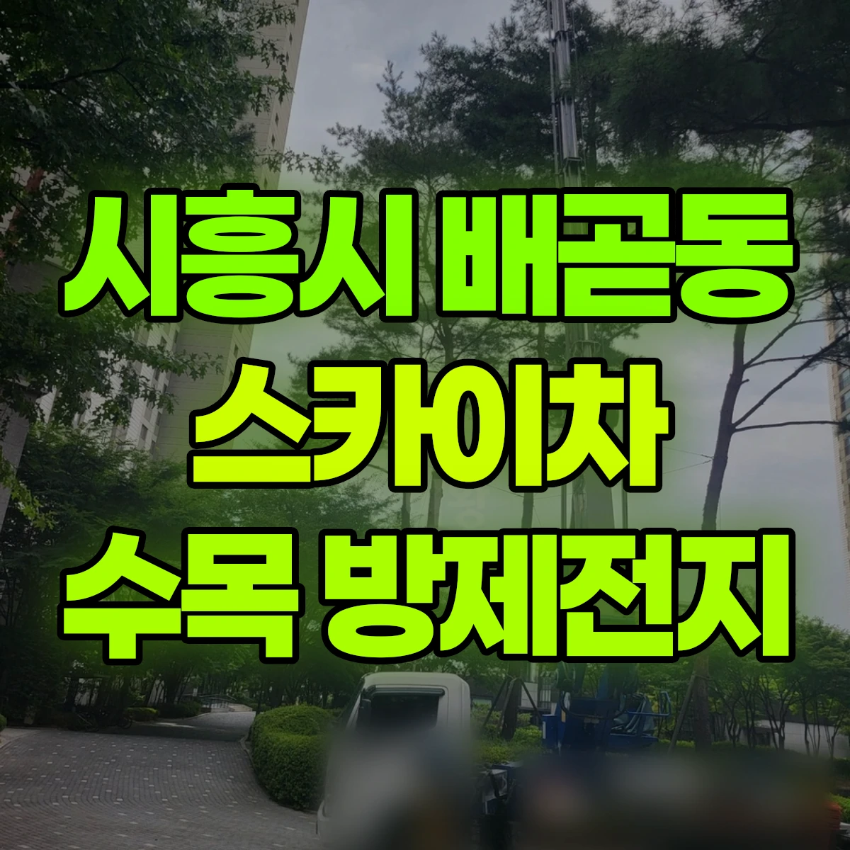 시흥시 배곧동 스카이차 수목 방제전지 비용