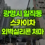 경기 광명시 일직동 스카이차 7층 외벽실리콘/처마 현장 사진