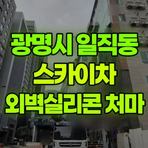 경기 광명시 스카이차 7층 외벽실리콘/처마 일대 후기