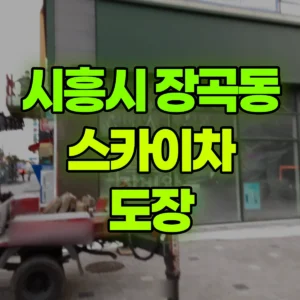 경기 시흥시 스카이차 도장 1시간 후기
