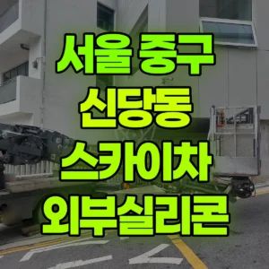 서울 중구 스카이차 외부실리콘 반나절 비용