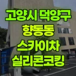 경기 고양시 덕양구 향동동 스카이차 실리콘코킹 현장 사진