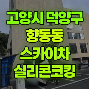 경기 고양시 스카이차 실리콘코킹 일대 후기