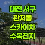 대전 서구 관저동 스카이차 수목전지 현장 사진