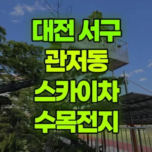 대전 서구 스카이차 수목전지 일대 비용