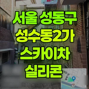 서울 성동구 스카이차 실리콘  일대 비용