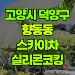 경기 고양시 덕양구 향동동 스카이차 실리콘코킹 현장 사진