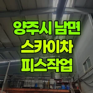 경기 양주시 스카이차 피스작업 반나절 비용