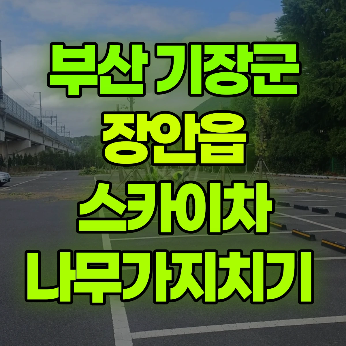 부산 기장군 장안읍 스카이차 나무가지치기 비용