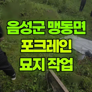충북 음성군 미니035 포크레인(굴착기) 묘지 작업 반나절 비용