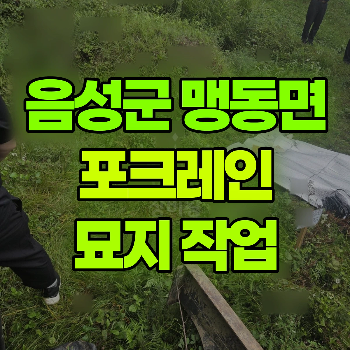 음성군 맹동면 포크레인 묘지 작업 비용